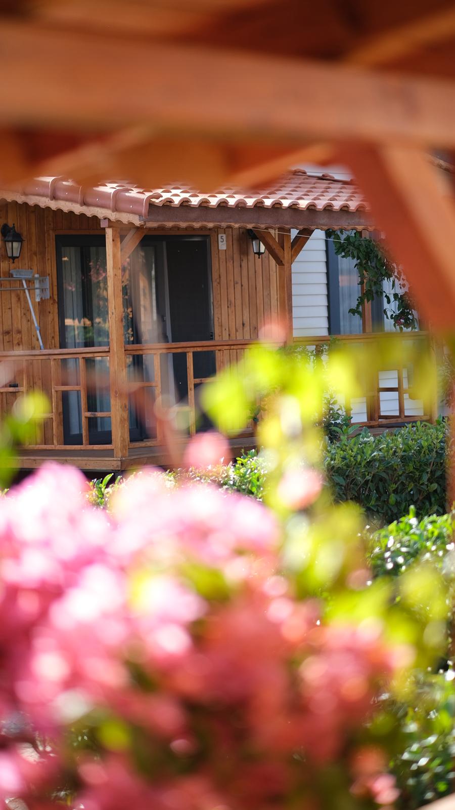 Sanatsal bungalov fotoğrafı